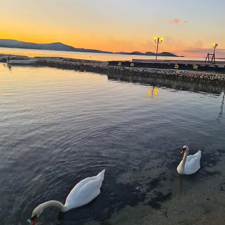 Sorriso アパートホテル 4*